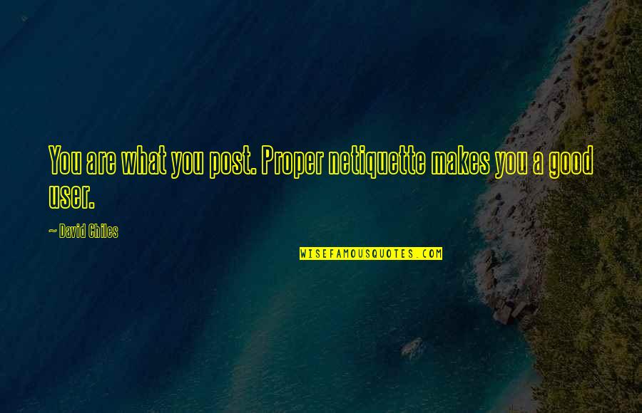 Celda 7 Quotes By David Chiles: You are what you post. Proper netiquette makes