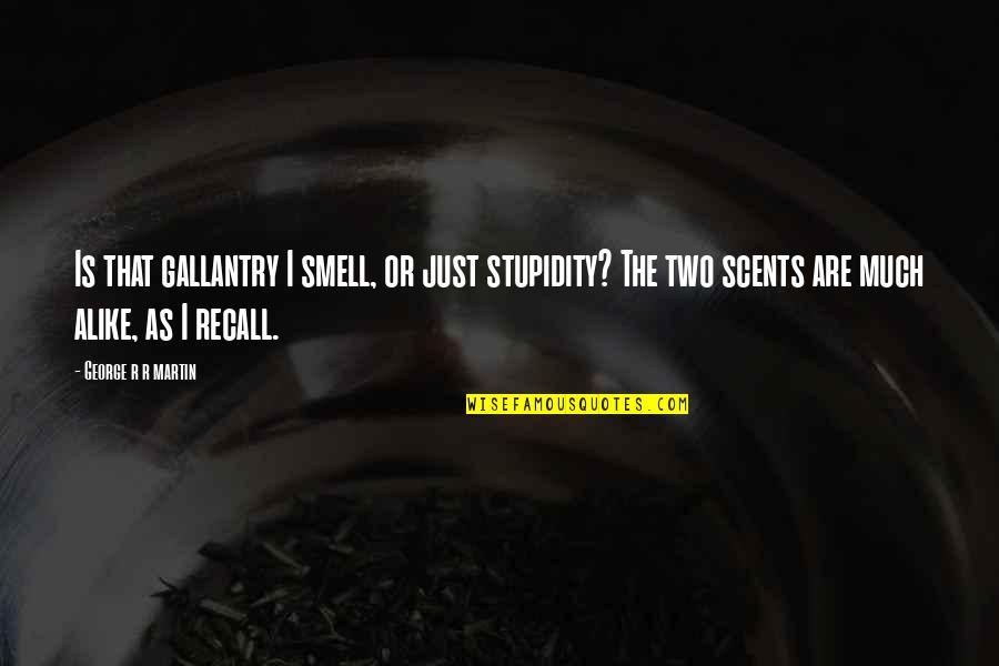 Celebes Monkey Quotes By George R R Martin: Is that gallantry I smell, or just stupidity? Celebes Monkey Quotes By George R R Martin: Is that gallantry I smell, or just stupidity?