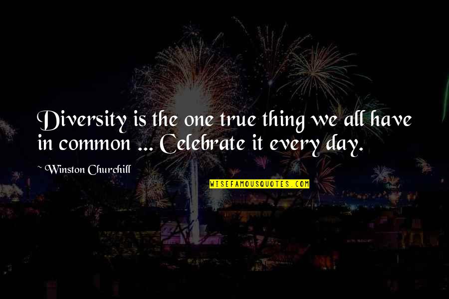 Celebrate Diversity Quotes By Winston Churchill: Diversity is the one true thing we all