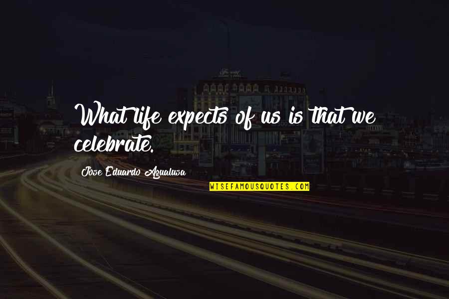 Celebration Of Life Quotes By Jose Eduardo Agualusa: What life expects of us is that we