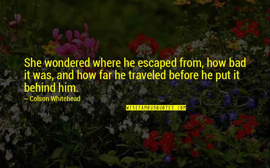 Celebration With Loved Ones Quotes By Colson Whitehead: She wondered where he escaped from, how bad Celebration With Loved Ones Quotes By Colson Whitehead: She wondered where he escaped from, how bad