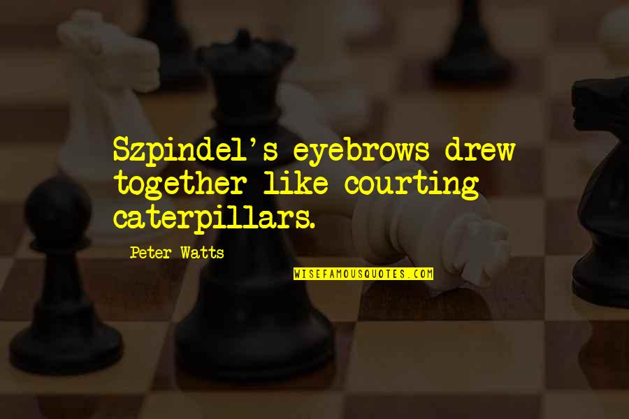 Celebrity Crushes Quotes By Peter Watts: Szpindel's eyebrows drew together like courting caterpillars.