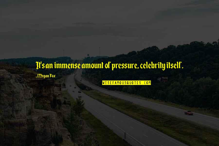 Celebrity's Quotes By Megan Fox: It's an immense amount of pressure, celebrity itself.