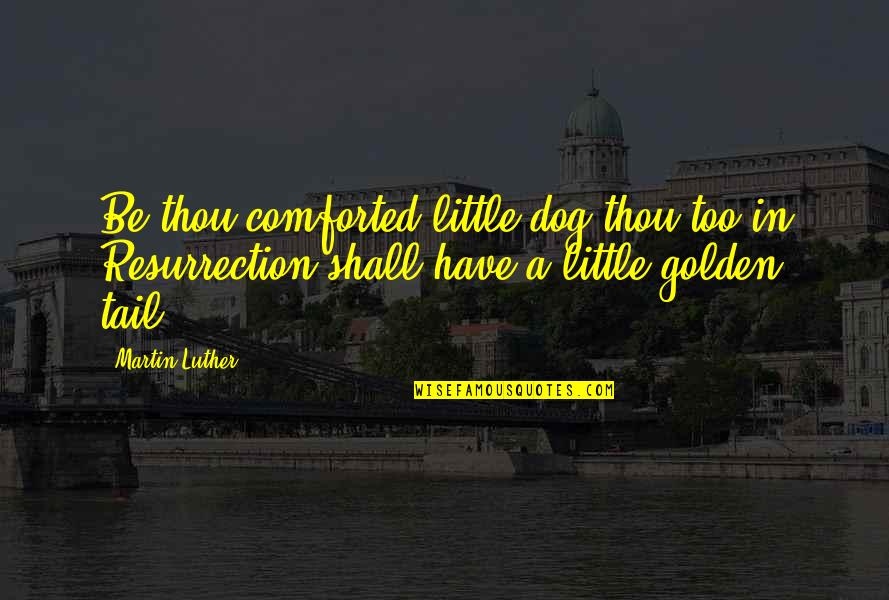 Celebs Inspirational Quotes By Martin Luther: Be thou comforted,little dog;thou too in Resurrection shall