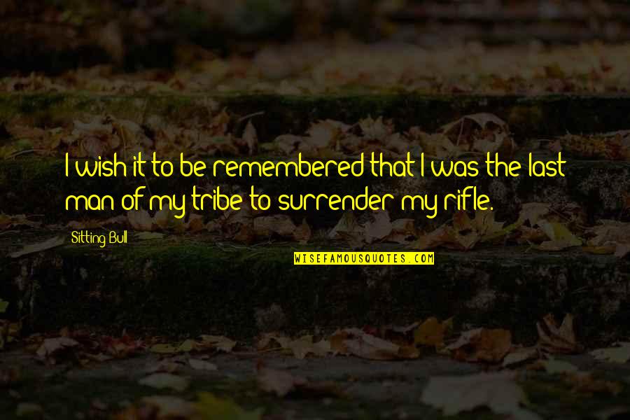 Celena Duchscher Quotes By Sitting Bull: I wish it to be remembered that I