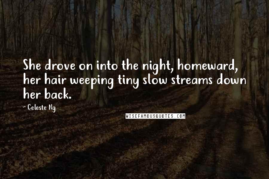 Celeste Ng quotes: She drove on into the night, homeward, her hair weeping tiny slow streams down her back.