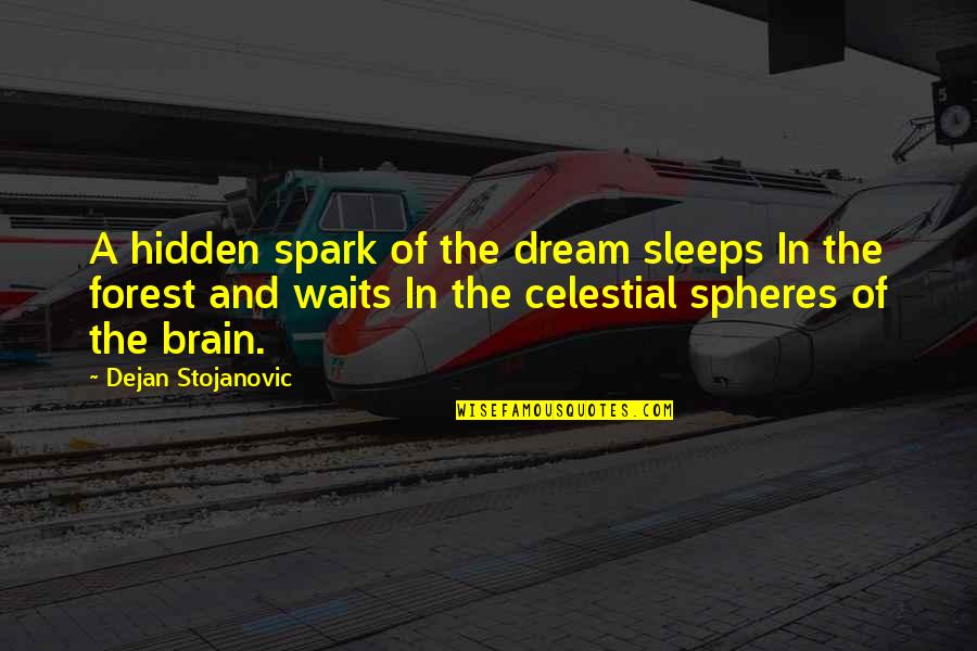 Celestial Poetry Quotes By Dejan Stojanovic: A hidden spark of the dream sleeps In