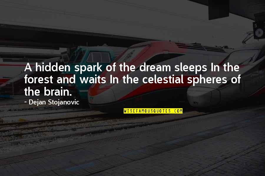 Celestial Quotes By Dejan Stojanovic: A hidden spark of the dream sleeps In