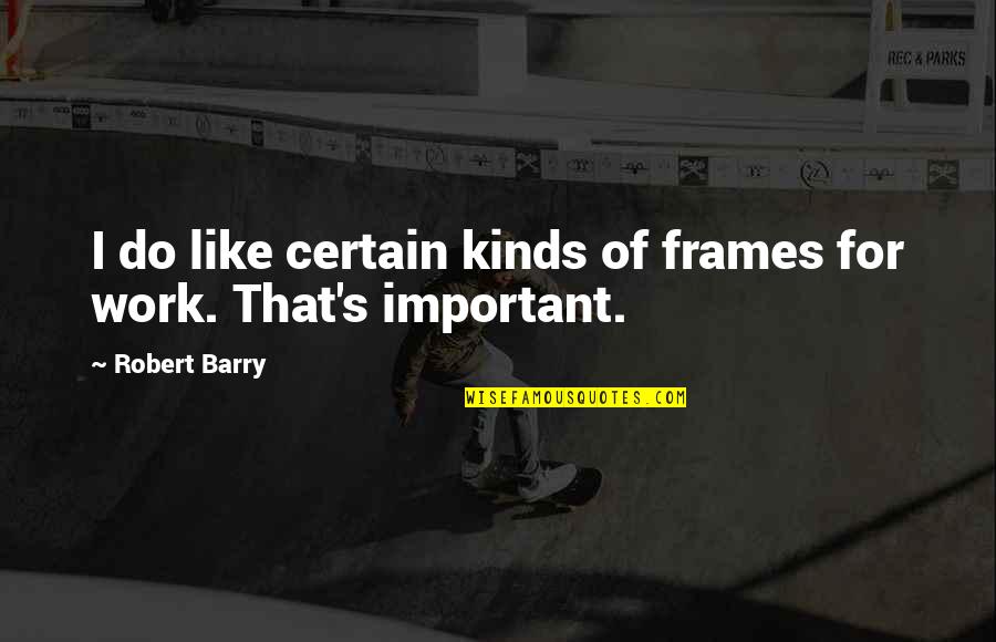 Celestiall Quotes By Robert Barry: I do like certain kinds of frames for
