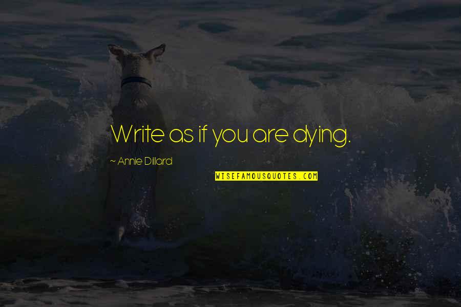 Celia Rees Quotes By Annie Dillard: Write as if you are dying.