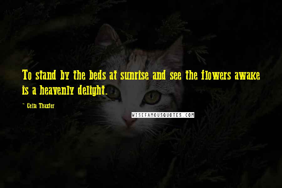 Celia Thaxter quotes: To stand by the beds at sunrise and see the flowers awake is a heavenly delight.