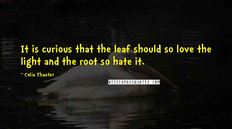 Celia Thaxter quotes: It is curious that the leaf should so love the light and the root so hate it.