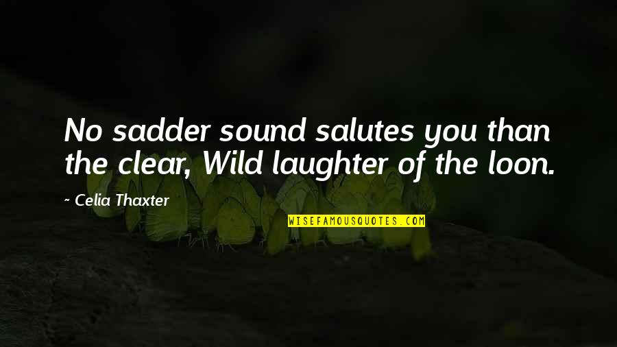Celia Thaxter Quotes By Celia Thaxter: No sadder sound salutes you than the clear,