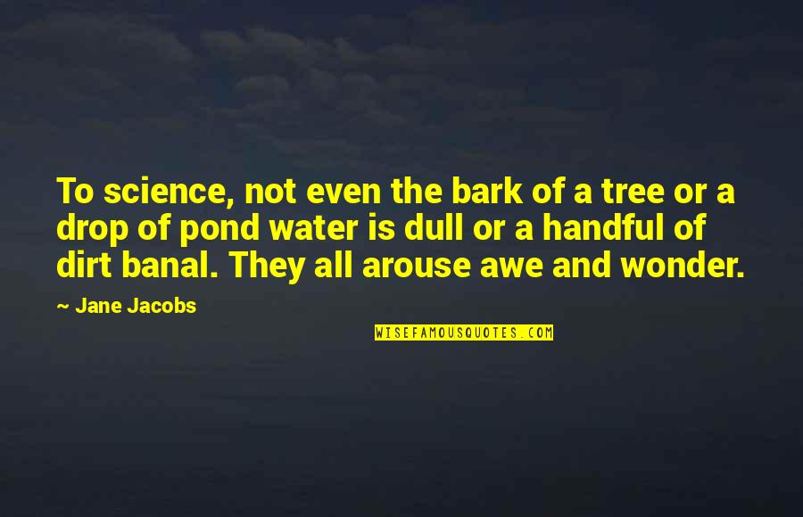 Celia Thaxter Quotes By Jane Jacobs: To science, not even the bark of a