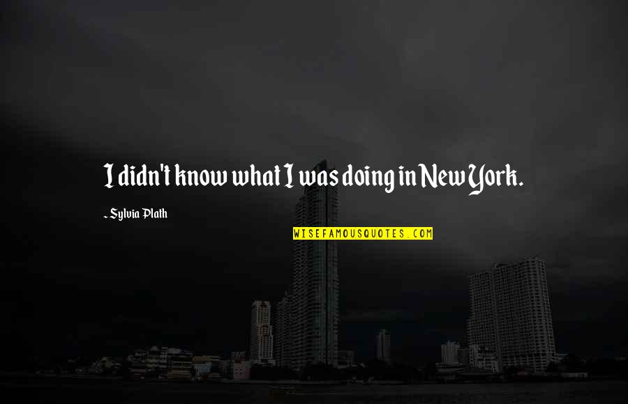 Celia Thaxter Quotes By Sylvia Plath: I didn't know what I was doing in Celia Thaxter Quotes By Sylvia Plath: I didn't know what I was doing in