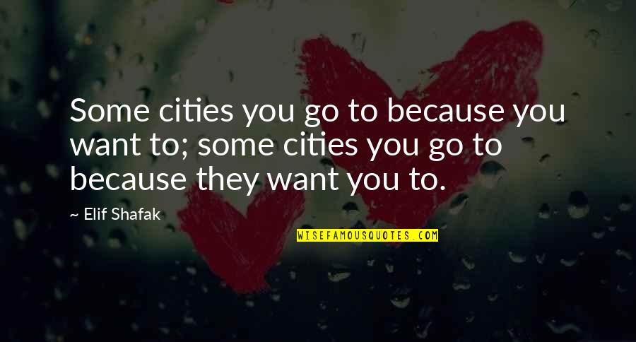 Celibacy Picture Quotes By Elif Shafak: Some cities you go to because you want