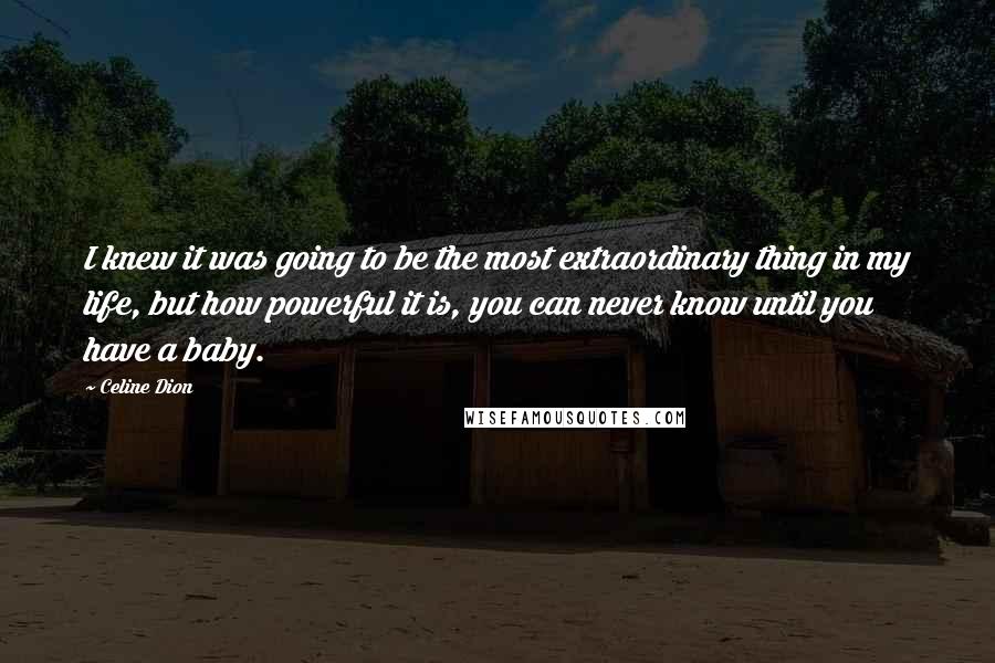 Celine Dion quotes: I knew it was going to be the most extraordinary thing in my life, but how powerful it is, you can never know until you have a baby.