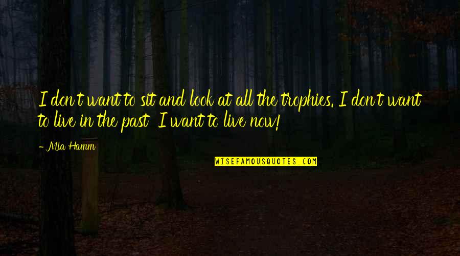 Celinska Pavza Quotes By Mia Hamm: I don't want to sit and look at