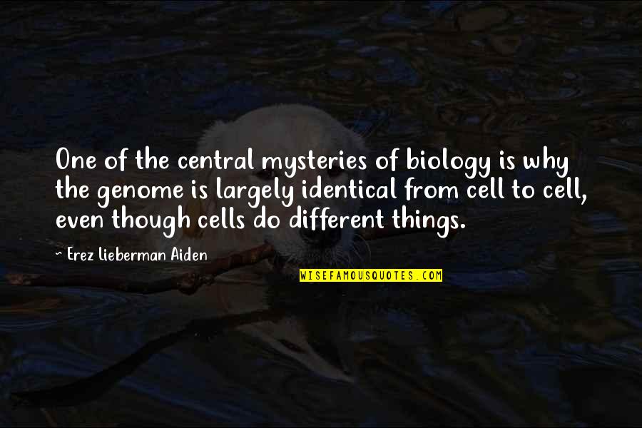 Cell Biology Quotes By Erez Lieberman Aiden: One of the central mysteries of biology is
