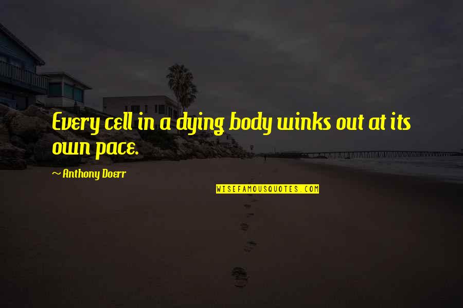 Cell C Quotes By Anthony Doerr: Every cell in a dying body winks out