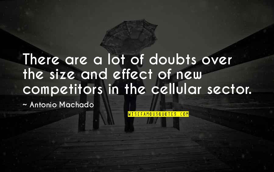 Cellular Quotes By Antonio Machado: There are a lot of doubts over the