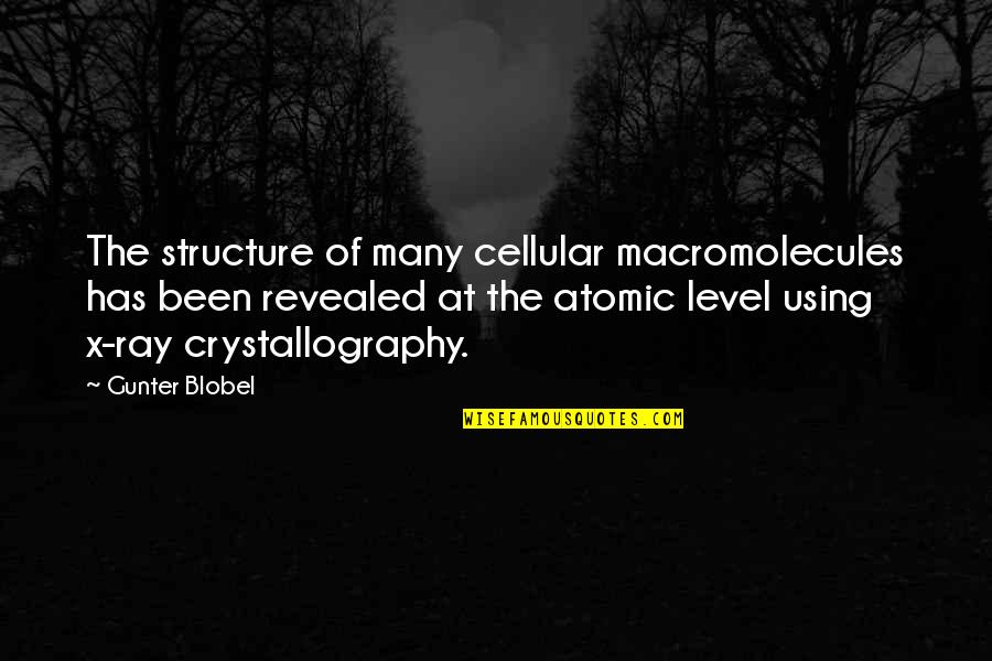 Cellular Structure Quotes By Gunter Blobel: The structure of many cellular macromolecules has been