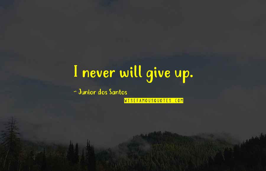 Celosia Quotes By Junior Dos Santos: I never will give up.