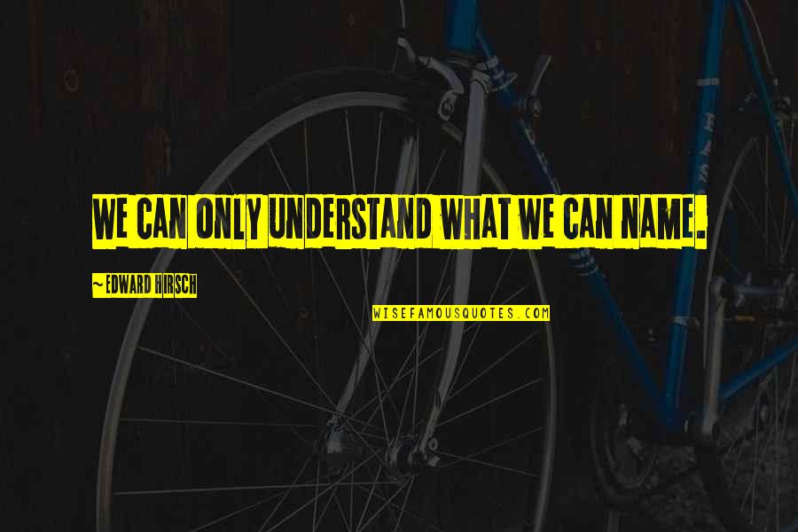 Celton Quotes By Edward Hirsch: We can only understand what we can name. Celton Quotes By Edward Hirsch: We can only understand what we can name.