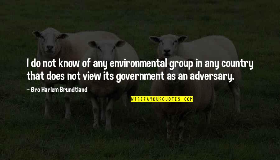 Celyn Roze Quotes By Gro Harlem Brundtland: I do not know of any environmental group