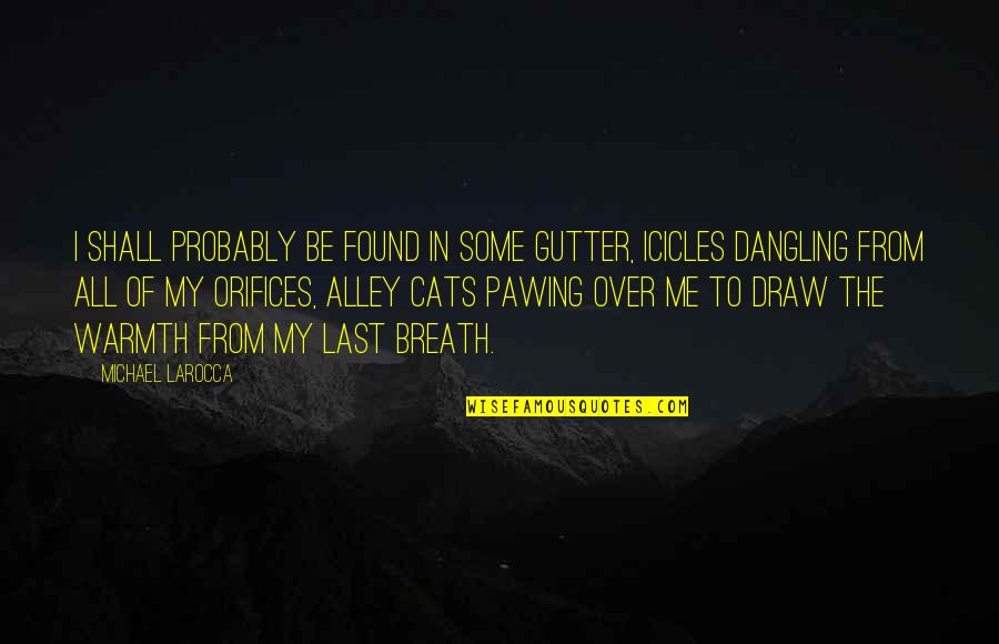 Cemal Sureya Quotes By Michael LaRocca: I shall probably be found in some gutter, Cemal Sureya Quotes By Michael LaRocca: I shall probably be found in some gutter,