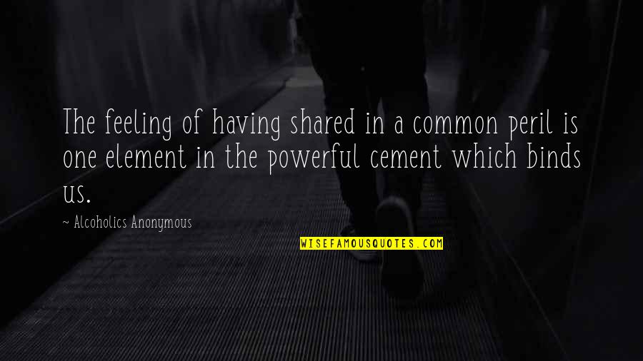 Cement Quotes By Alcoholics Anonymous: The feeling of having shared in a common