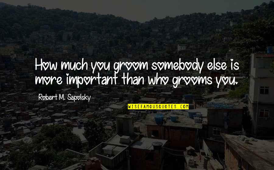 Cement Slab Quotes By Robert M. Sapolsky: How much you groom somebody else is more