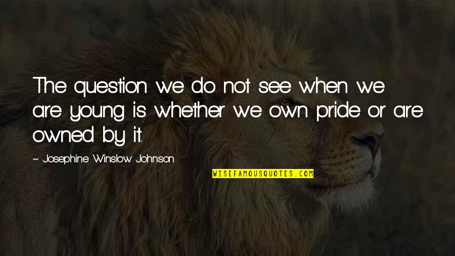 Cendana Energie Quotes By Josephine Winslow Johnson: The question we do not see when we