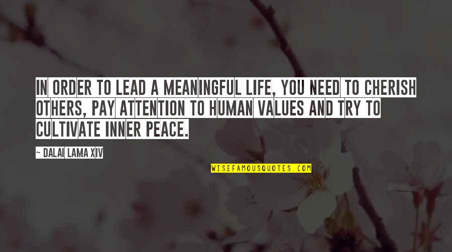 Cendrowski Selecky Quotes By Dalai Lama XIV: In order to lead a meaningful life, you Cendrowski Selecky Quotes By Dalai Lama XIV: In order to lead a meaningful life, you