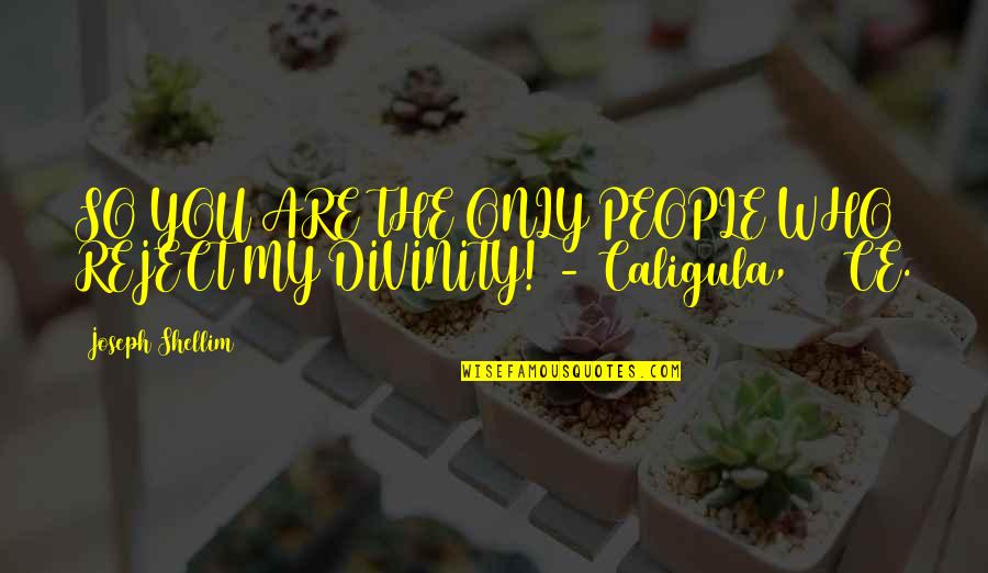 Ce'nedra Quotes By Joseph Shellim: SO YOU ARE THE ONLY PEOPLE WHO REJECT