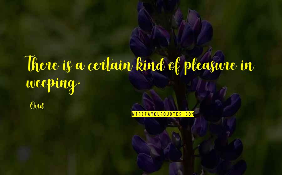 Cennette 7 Quotes By Ovid: There is a certain kind of pleasure in
