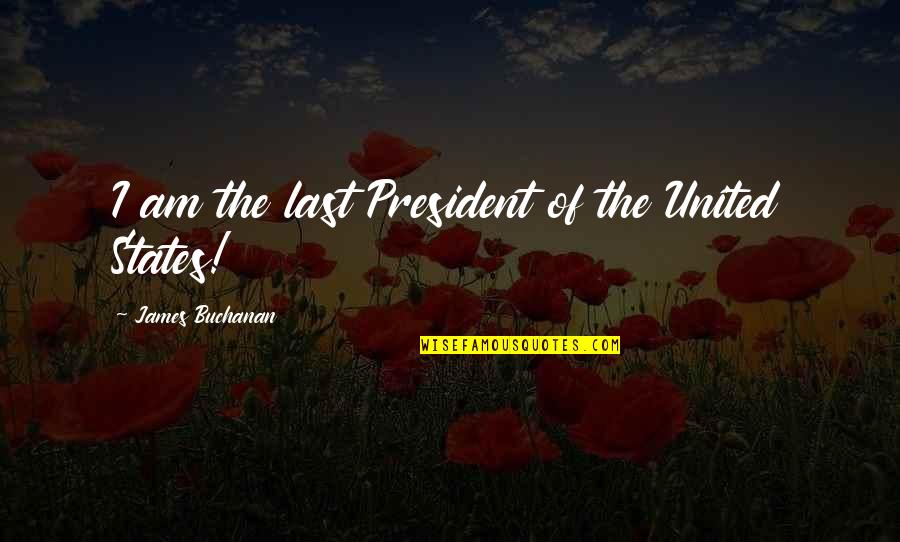Centesimi Rari Quotes By James Buchanan: I am the last President of the United