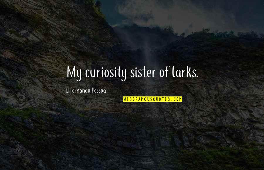 Centimetre Quotes By Fernando Pessoa: My curiosity sister of larks.