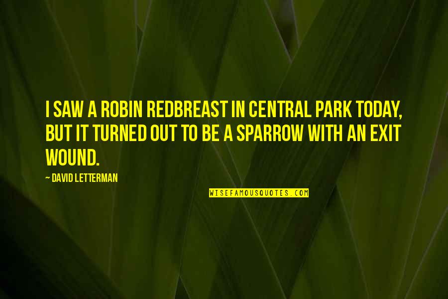 Central Park 5 Quotes By David Letterman: I saw a robin redbreast in Central Park