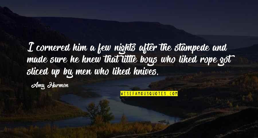 Centrist Meme Quotes By Amy Harmon: I cornered him a few nights after the Centrist Meme Quotes By Amy Harmon: I cornered him a few nights after the