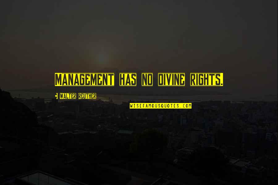 Ceratopogonidae Quotes By Walter Reuther: Management has no divine rights.