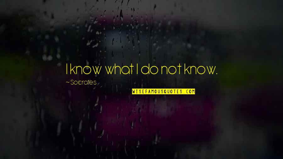 Cerdos Salvajes Quotes By Socrates: I know what I do not know. Cerdos Salvajes Quotes By Socrates: I know what I do not know.