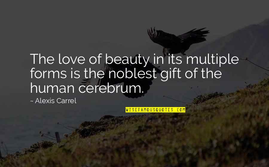 Cerebrum Quotes By Alexis Carrel: The love of beauty in its multiple forms