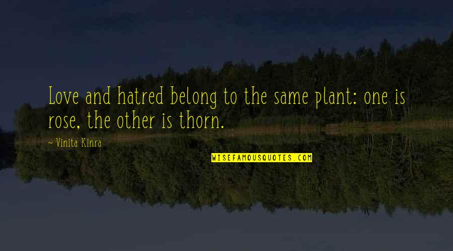 Ceremonially Quotes By Vinita Kinra: Love and hatred belong to the same plant: