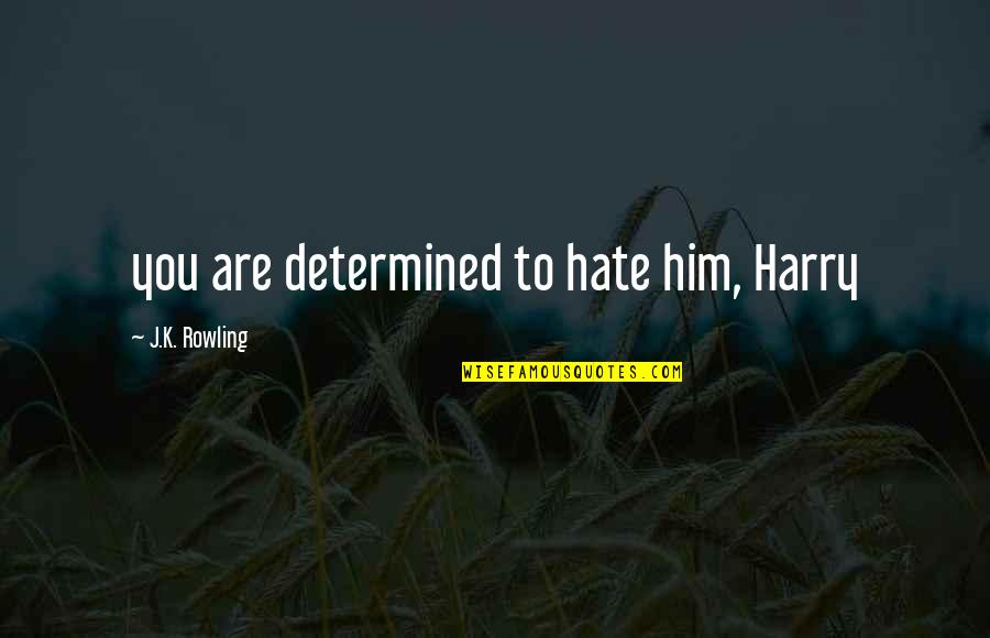 Cereza Quotes By J.K. Rowling: you are determined to hate him, Harry Cereza Quotes By J.K. Rowling: you are determined to hate him, Harry