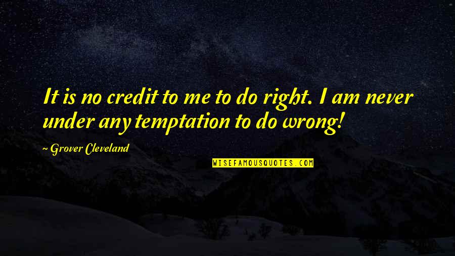 Cerniere Anselmi Quotes By Grover Cleveland: It is no credit to me to do