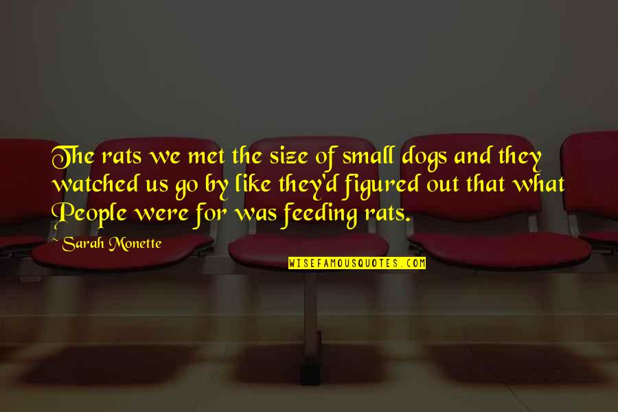 Certain Individuals Quotes By Sarah Monette: The rats we met the size of small