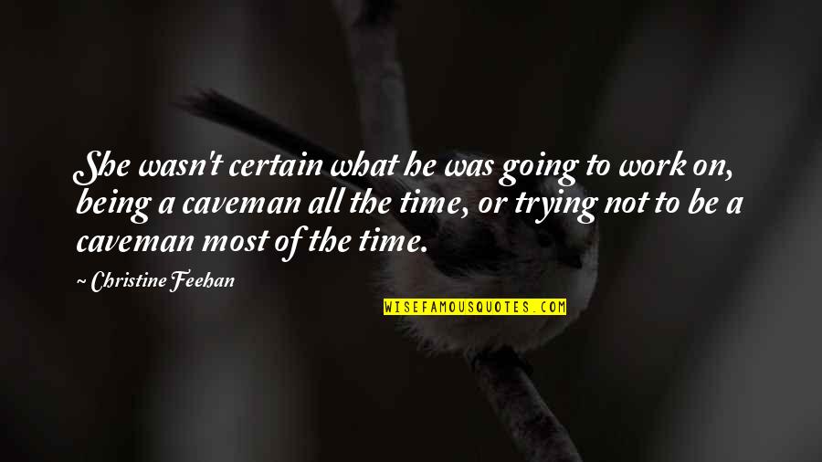 Certain Time Quotes By Christine Feehan: She wasn't certain what he was going to