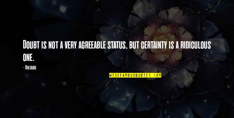 Certainty And Doubt Quotes By Voltaire: Doubt is not a very agreeable status, but