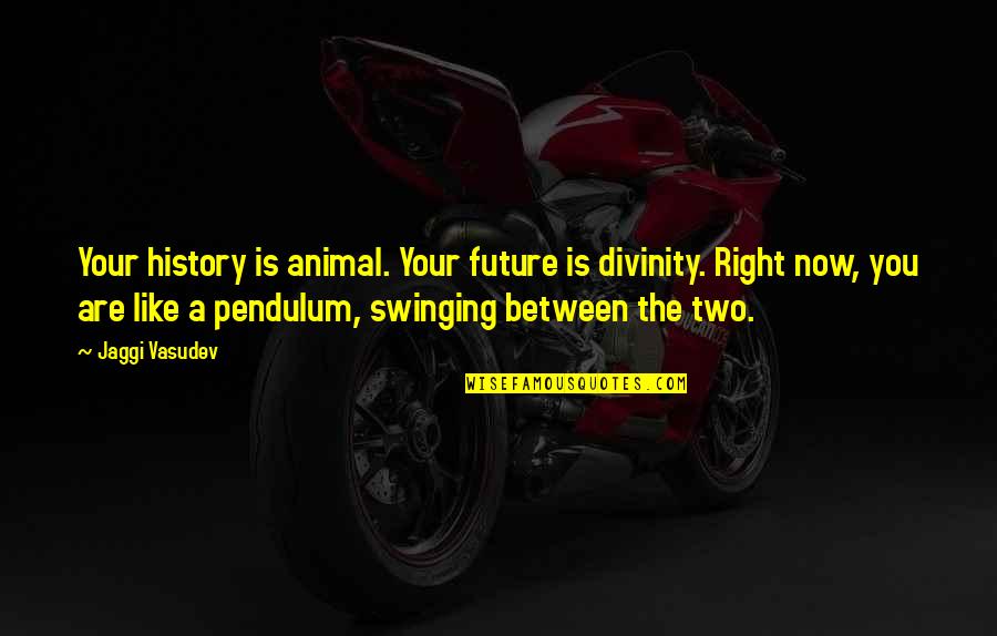 Certeyn Quotes By Jaggi Vasudev: Your history is animal. Your future is divinity.